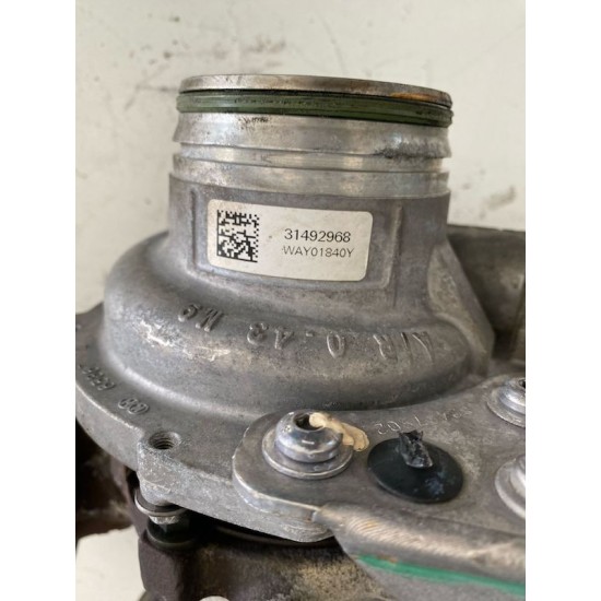 ぺぺ zyn0110s-db0840b.jpg